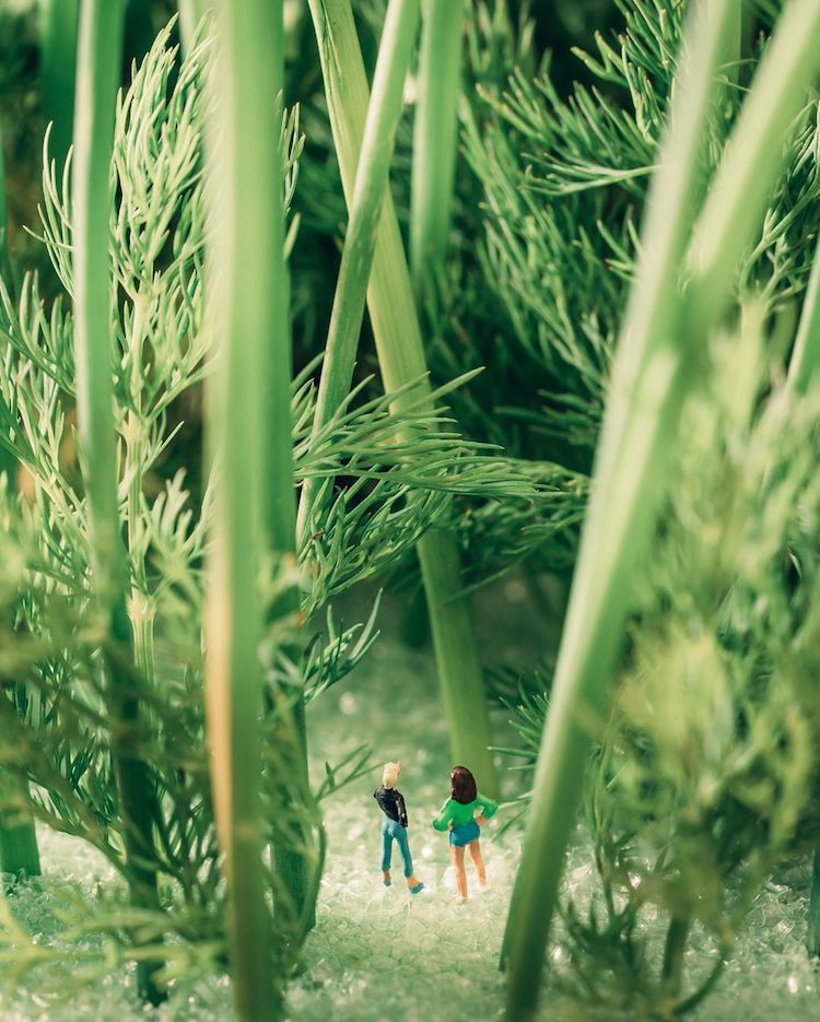 Indoor Miniature Nature Photography by Erin Sullivan