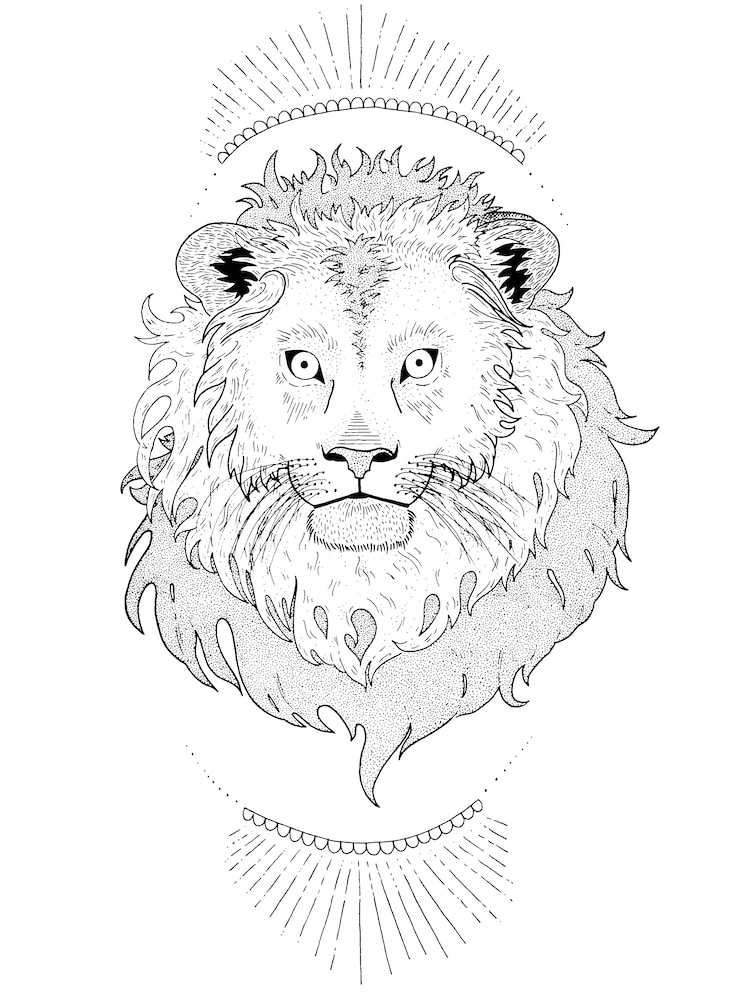 Dibujo de un león