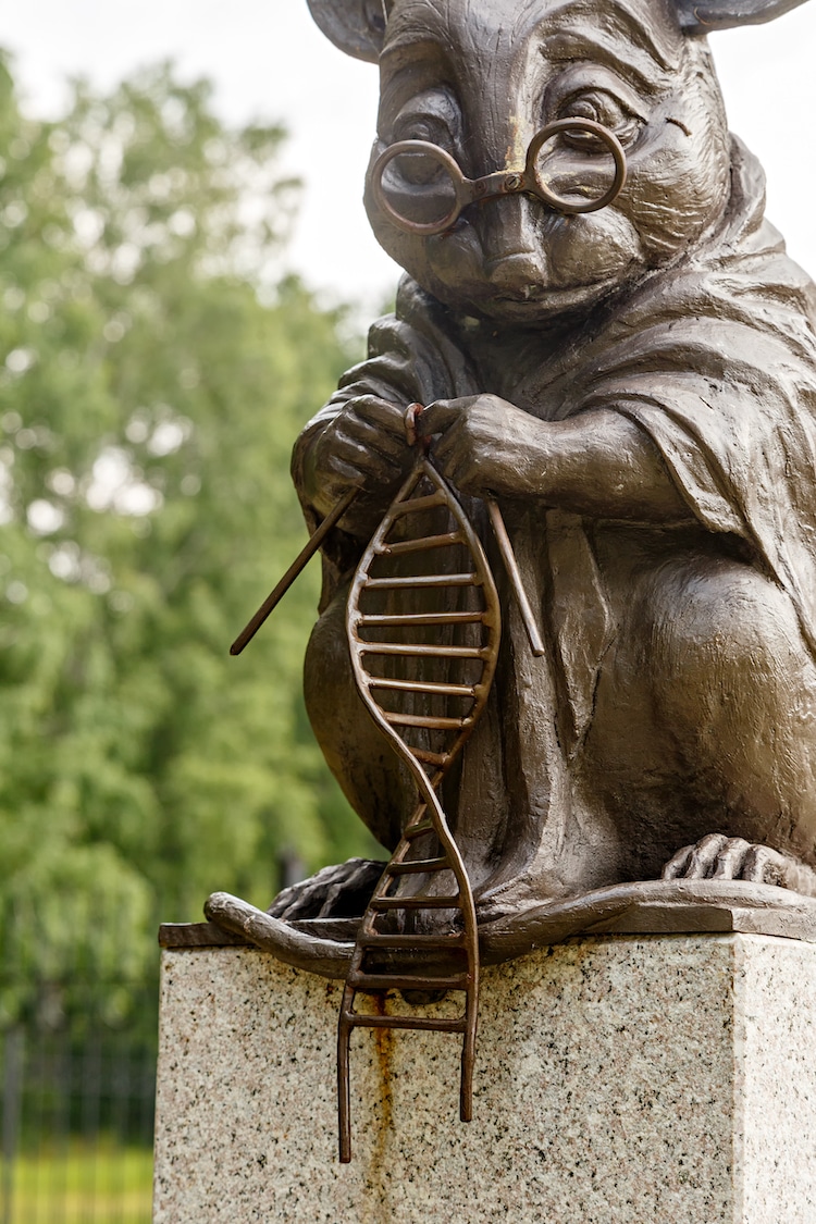 estatua de raton de laboratorio