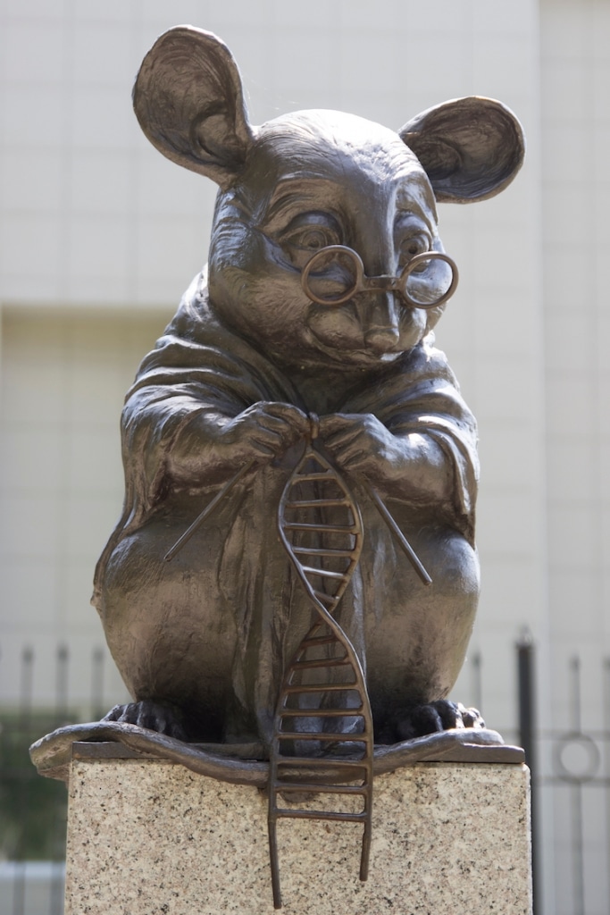 Esta estatua de un ratón es un monumento a los animales de laboratorio