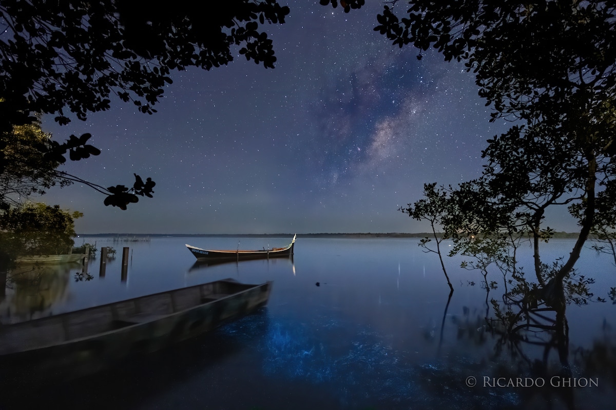 Bioluminescence Over a Marina in Brazil with the Milky Way in the Sky
