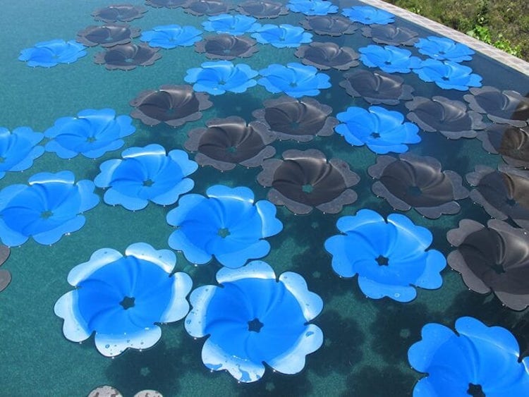Solar Panel Pool Flowers