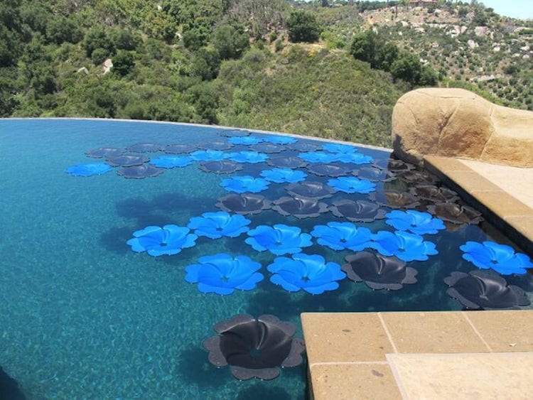 These Floating Solar Panel Flowers Heat Up Your Pool