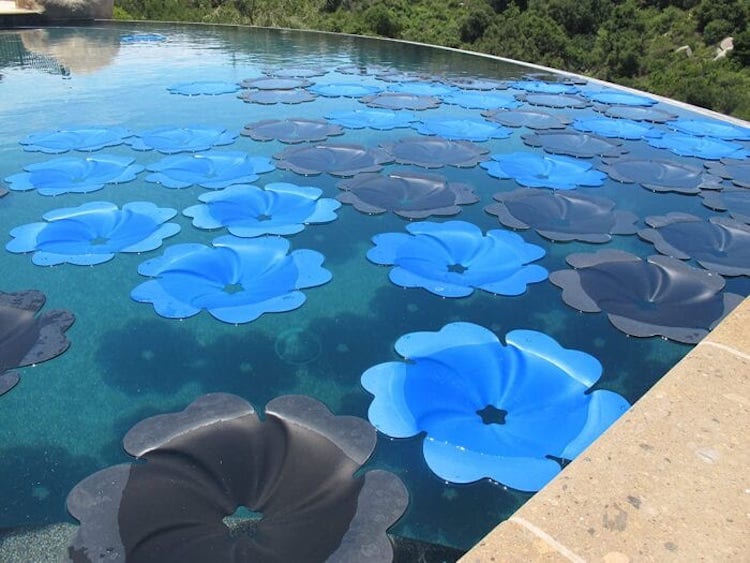 swimming solar panels