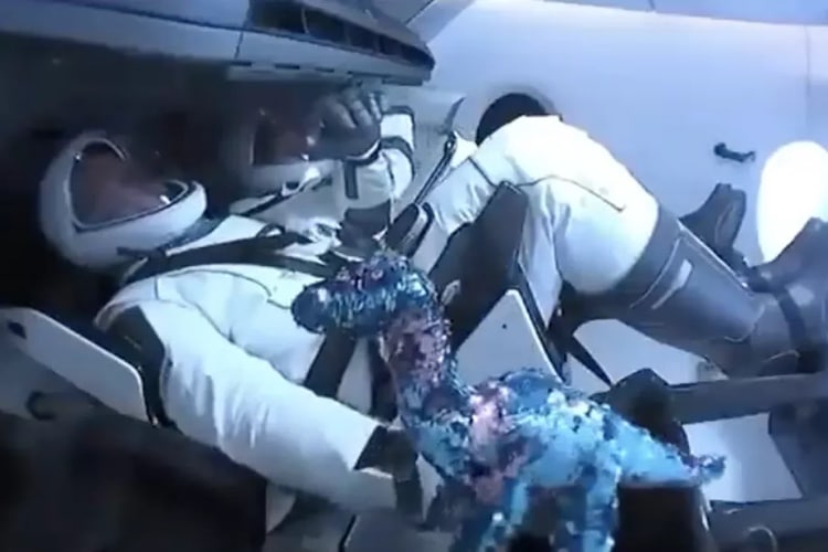 Tremor Stuffed Dinosaur on Space X Flight