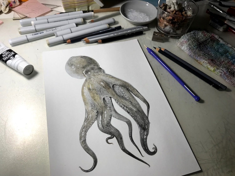 Realistic Octopus Drawing