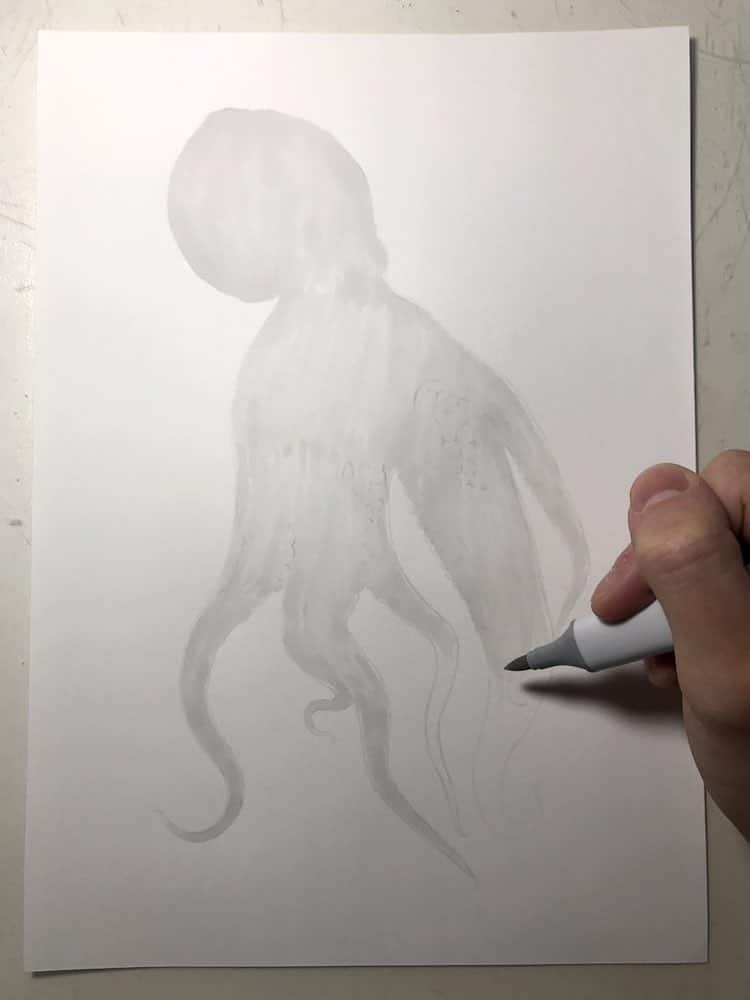 Realistic Octopus Drawing by Yukito Kuda