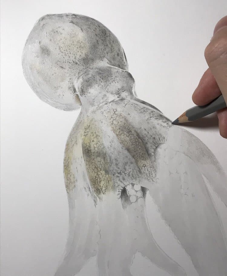 Illustrator Shares His Process To Create A Realistic Drawing Of A Octopus