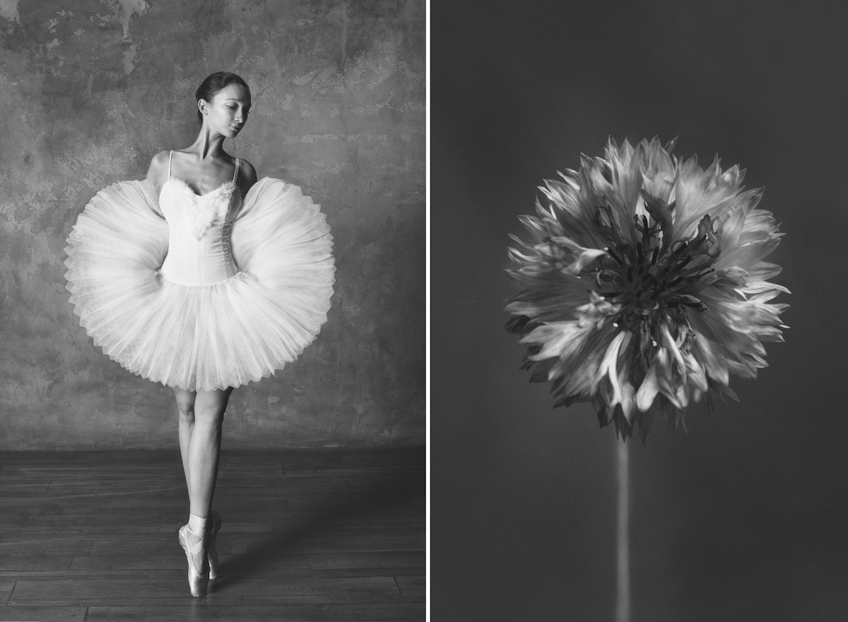 Dançarinos de balé e flores por Yulia Artemyeva