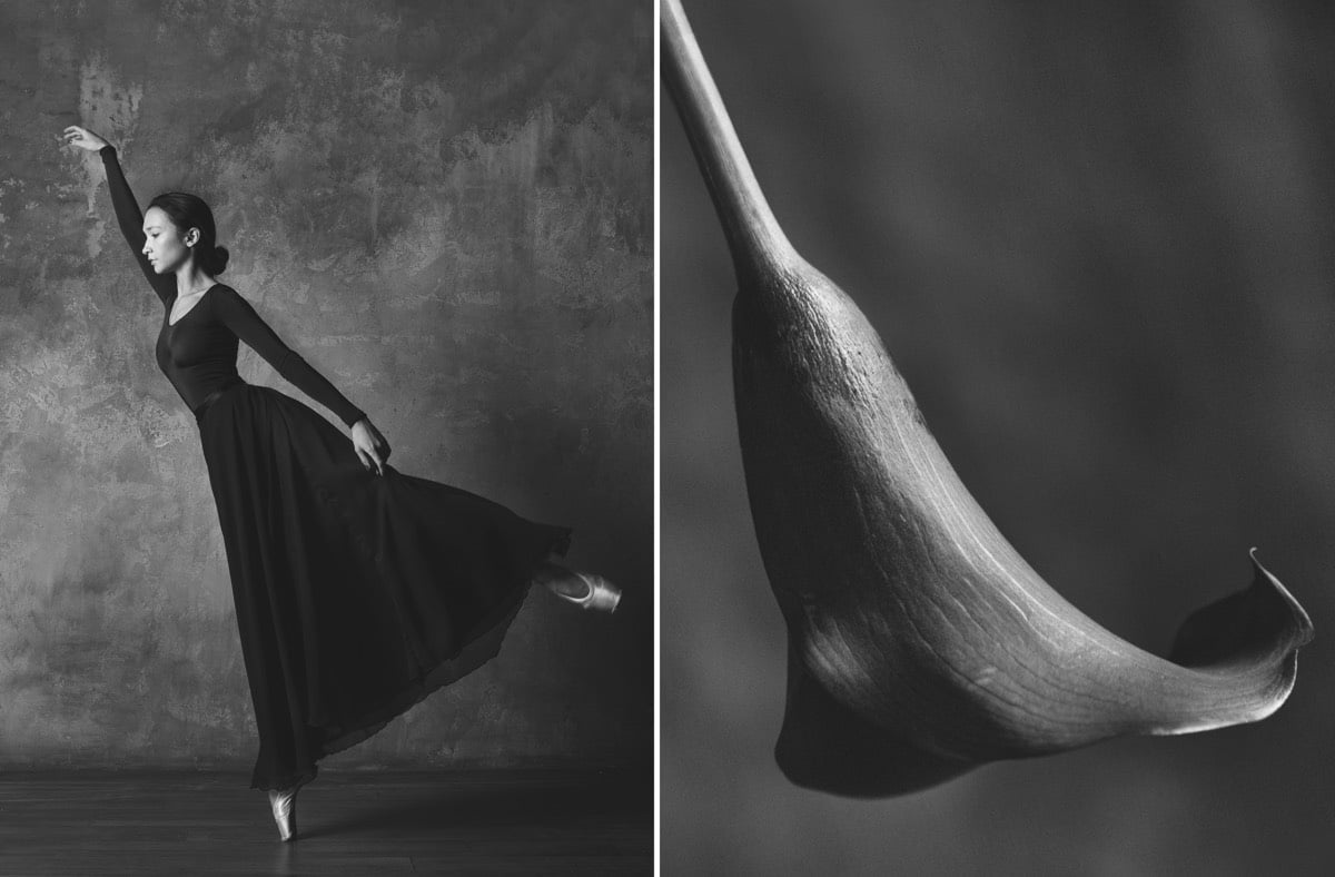 Dançarinos de balé e flores por Yulia Artemyeva