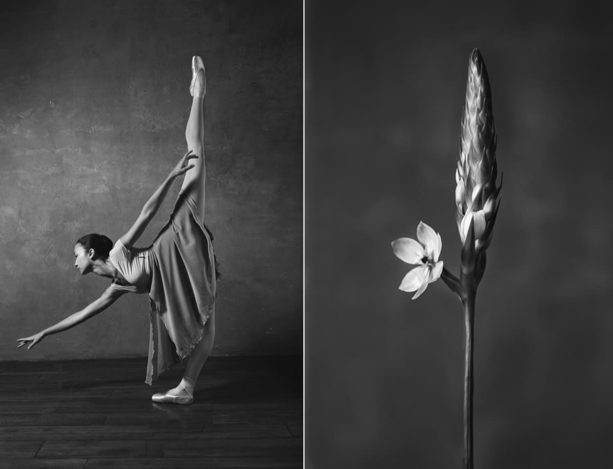 bailarinas de ballet y flores por Yulia Artemyeva