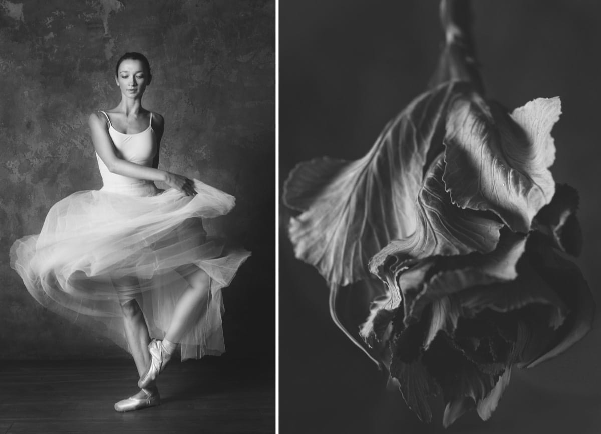 bailarinas de ballet y flores por Yulia Artemyeva