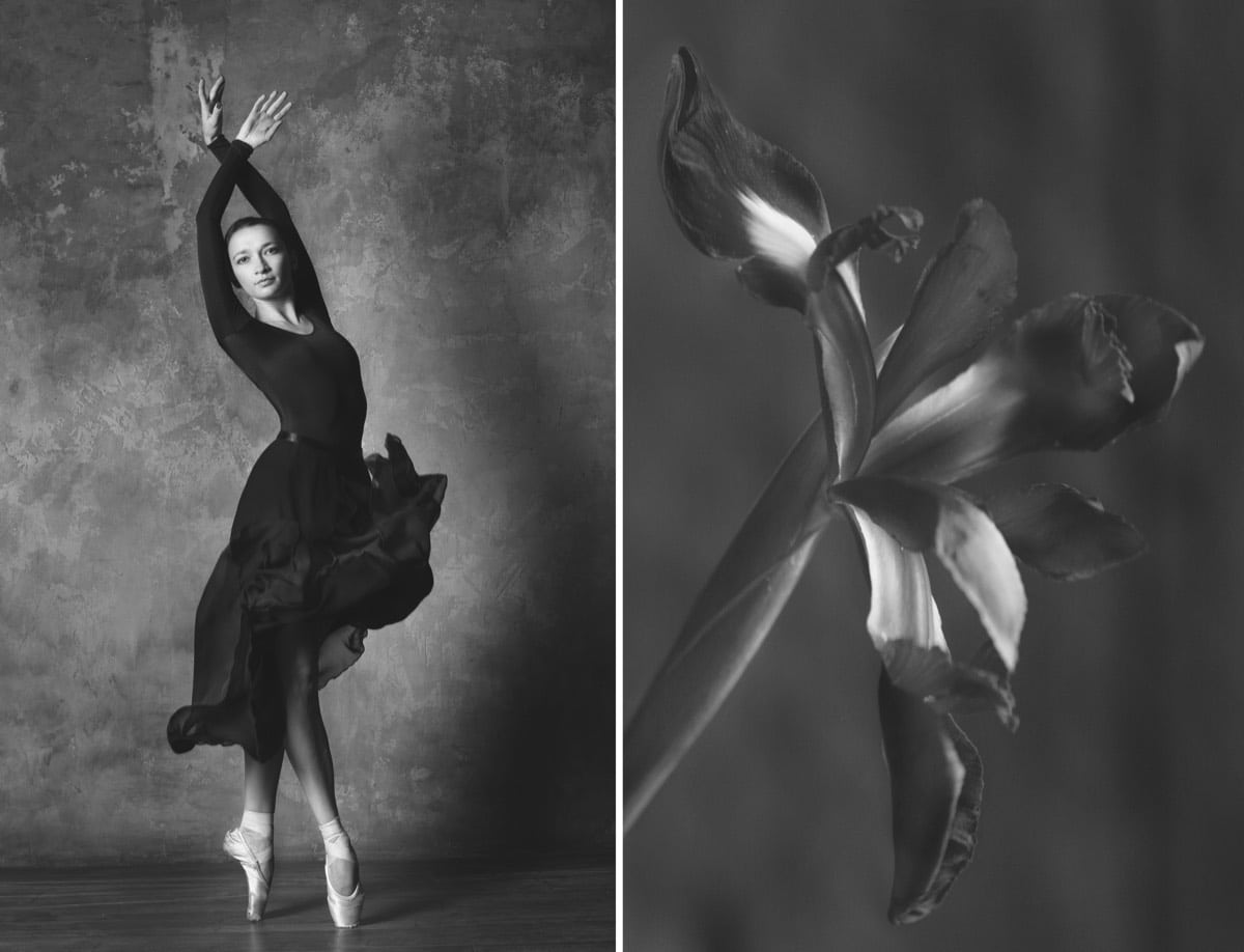 Ballet Dancers and Flowers by Yulia Artemyeva