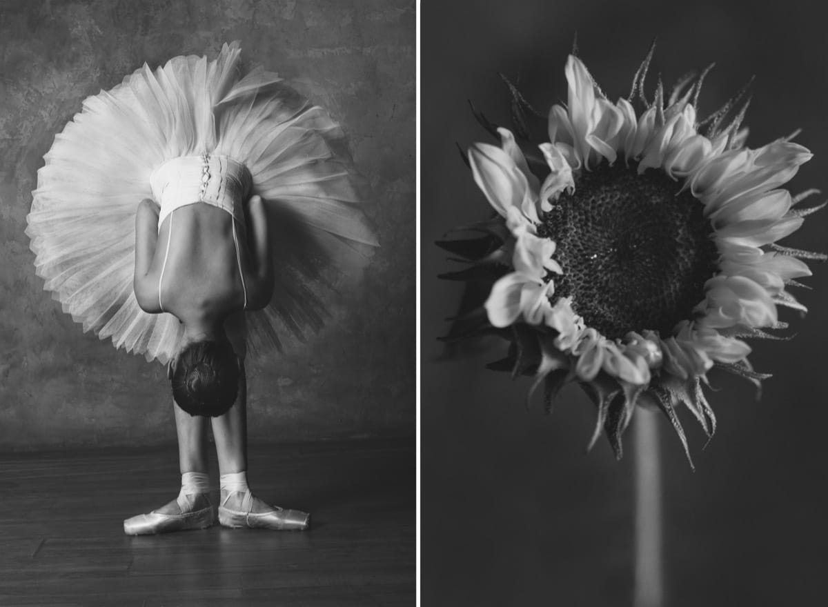 Black and White Photo of a Ballet Dancer Mimicking a Sunflower