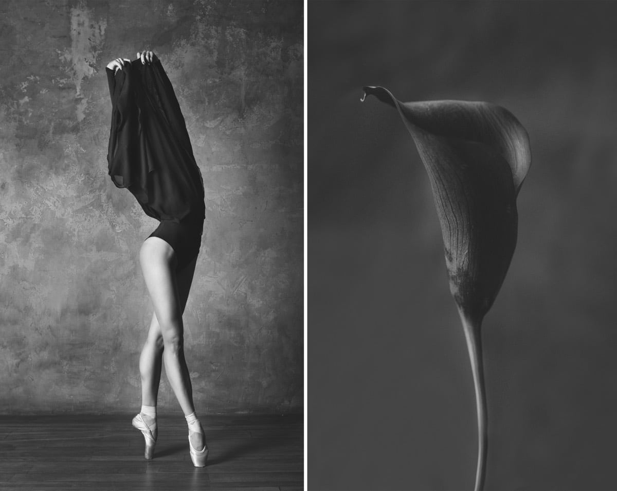 Ballet Dancers and Flowers by Yulia Artemyeva