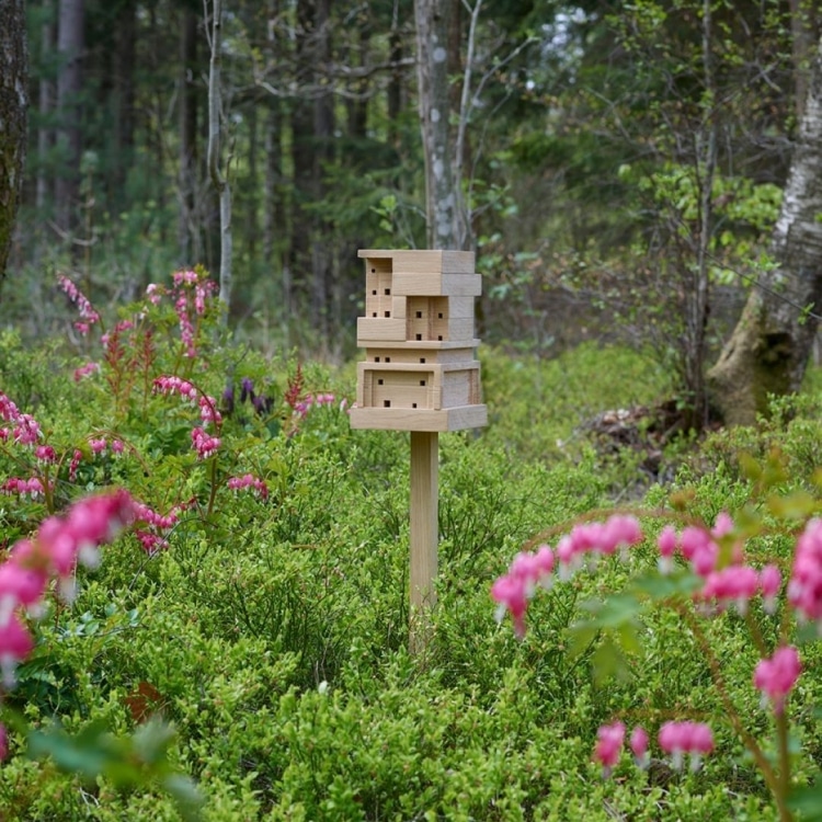 Bee Home in Woods