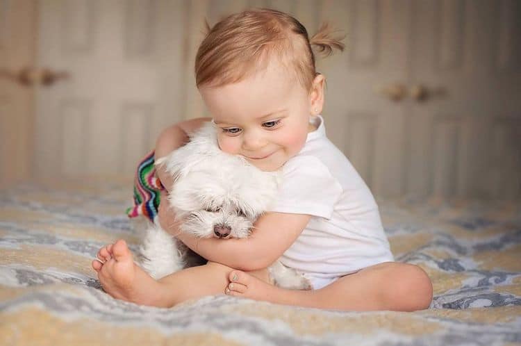 Fotos de niños con animales por Andrea Martin