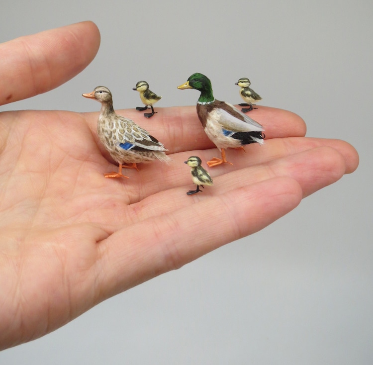 Miniature Animals by Fanni Sandor