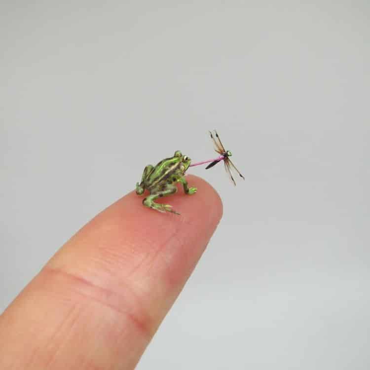 Doll House Miniature 1:12 Scale Animal 1/3 3 pcs Tiny Frogs
