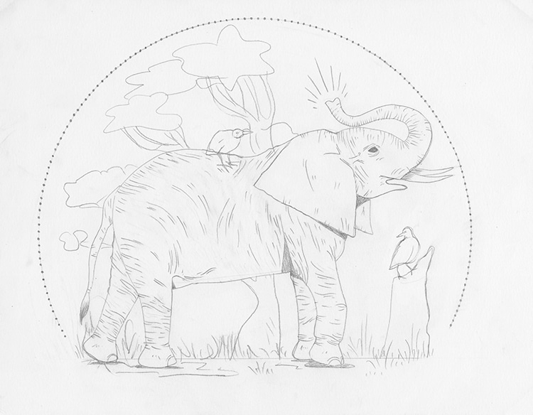Elephant pencil study Pencil drawing by Naomi Hawkins | Artfinder
