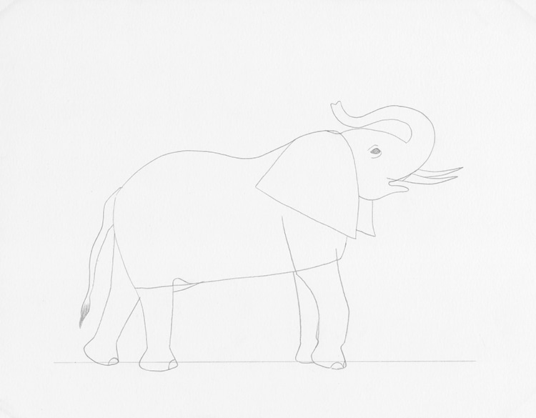 Elephant Drawing Tutorial - How to draw Elephant step by step