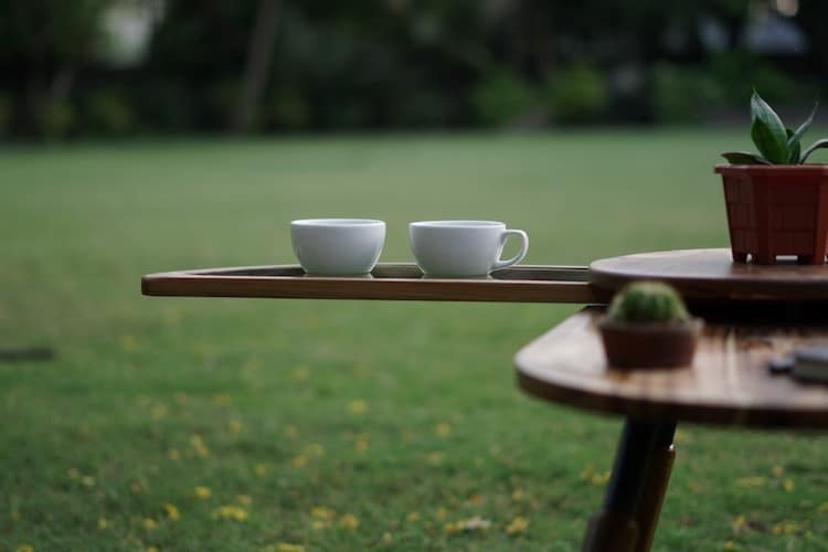 Elytra Coffee Table by Radhika Dhumal