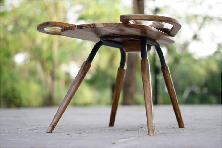 Elytra Coffee Table by Radhika Dhumal