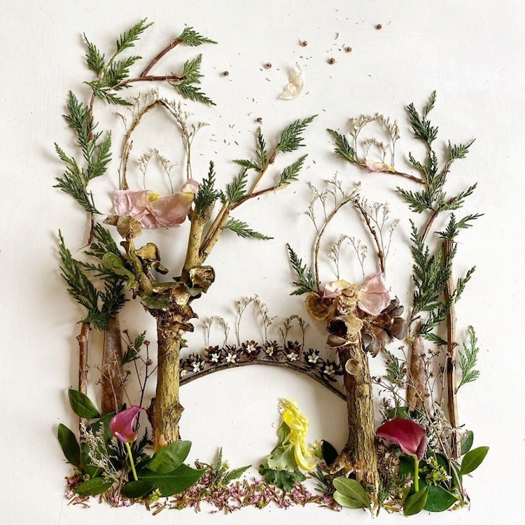 Ilustrazioni con fiori e foglie di Bridget Beth Collins