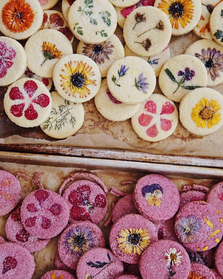 Bánh quy hoa ép