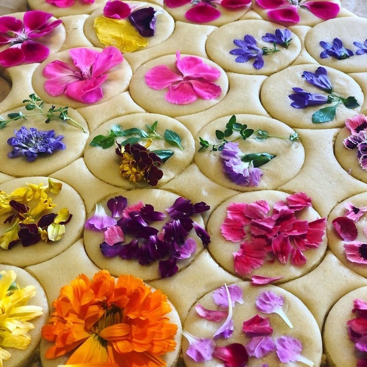 galletas con flores prensadas