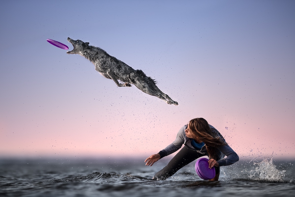 Dog and Owner Practicing Frisbee on the Beach