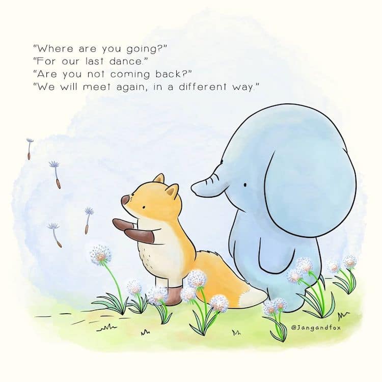 Heartwarming Animal Comics by JangandFox Studio