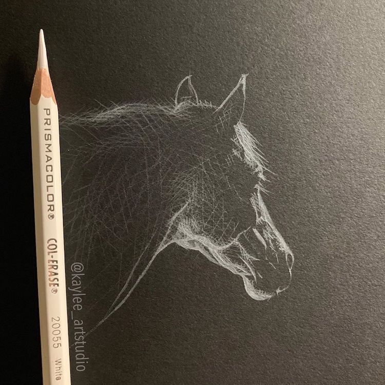 Dibujo sobre papel negro por Kay Lee