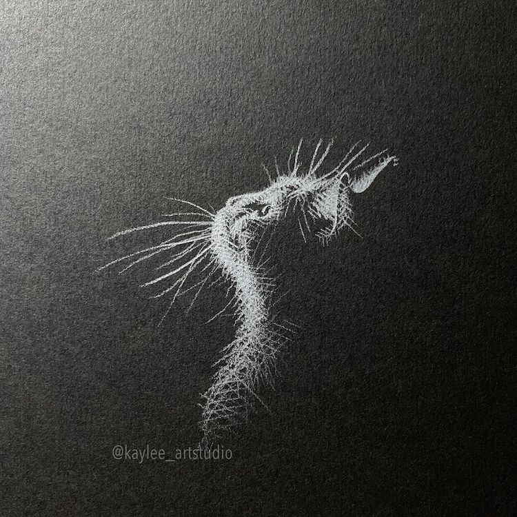 Black and White Drawings by Kay Lee