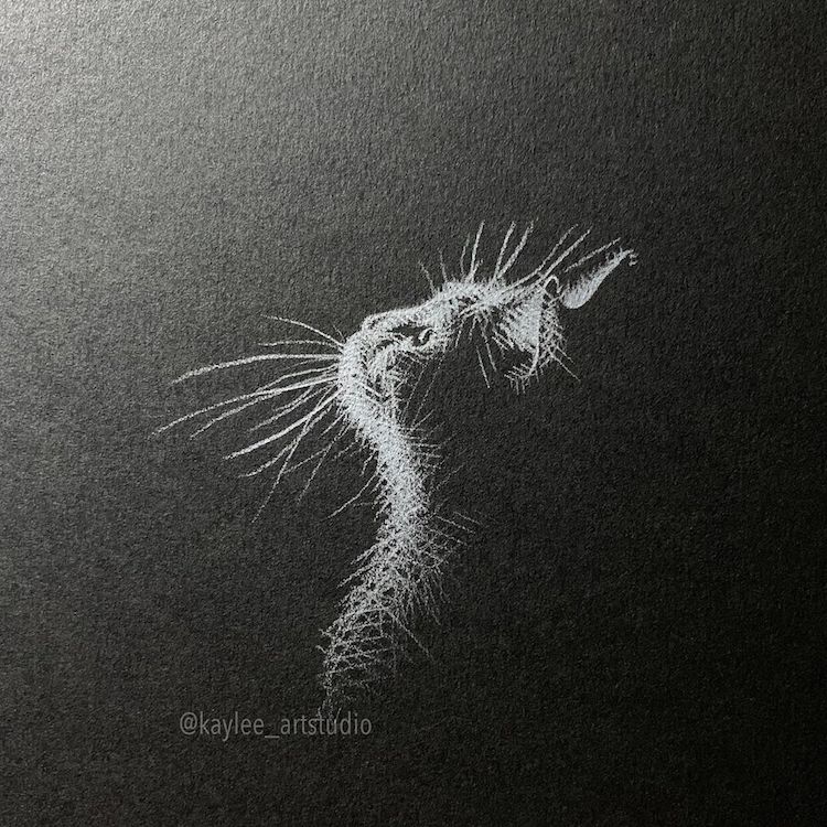 Drama in the Dark, Drawing on Black Paper