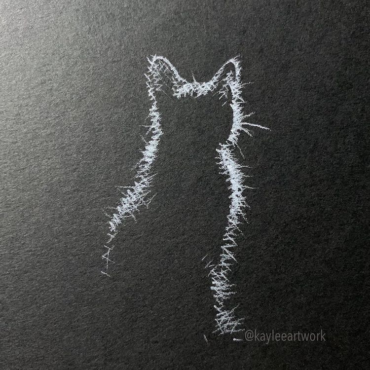 Artista Crea Dibujos Minimalistas Con Lapiz Blanco Sobre Papel Negro