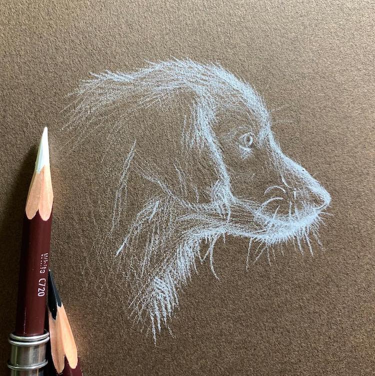 Behind the light, by me, white colour pencil on black paper, 2020 :  r/drawing