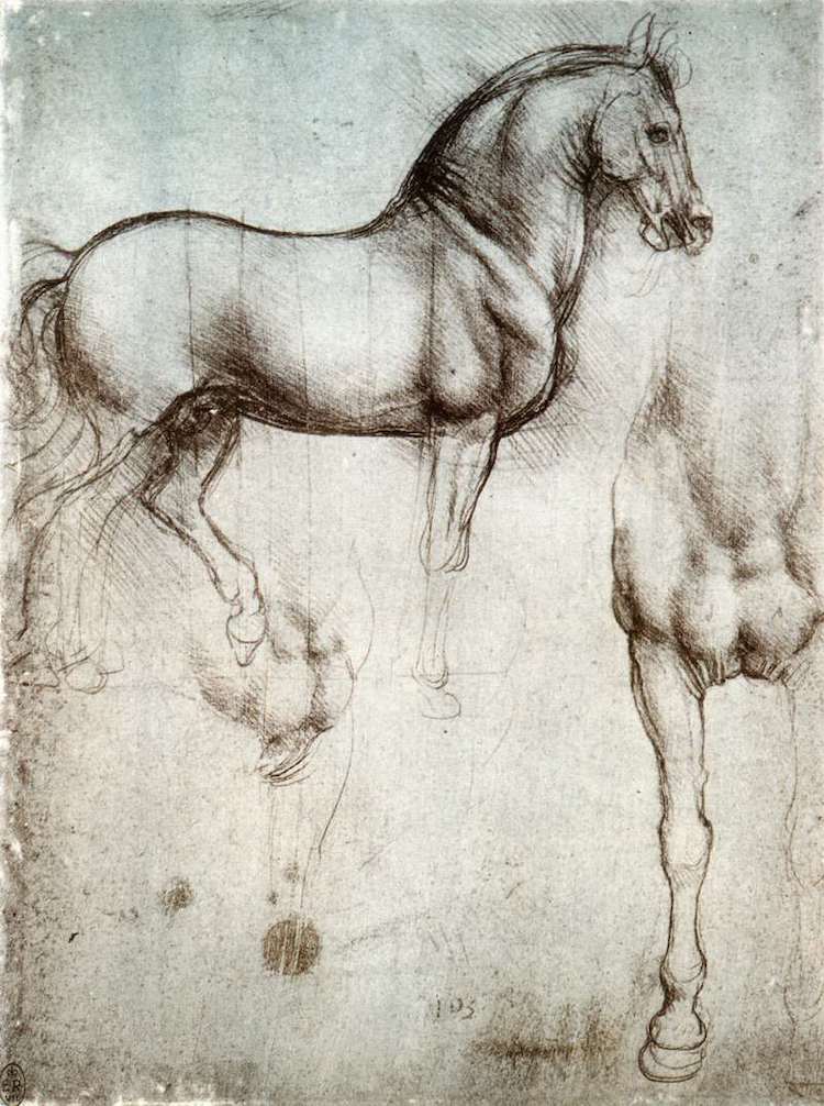 estudios de caballos por Leonardo da Vinci