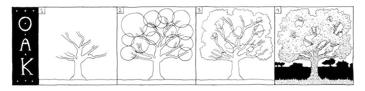 How to Draw Three Types of Trees Drawing Tutorial by Margherita Cole