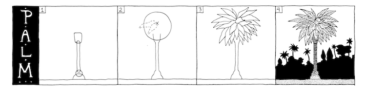 Cómo dibujar una palmera por Margherita Cole