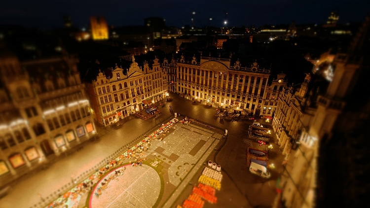 Joerg-Daiber-Brussels-Flower-Carpet