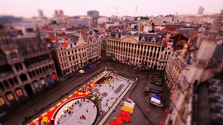 Joerg-Daiber-Brussels-Flower-Carpet