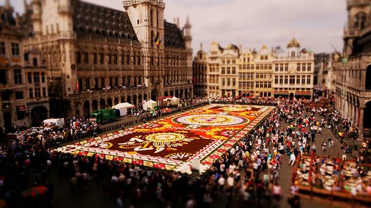 video del tapete de flores de bruselas por Joerg Daiber