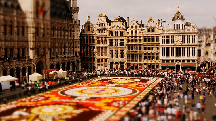 video del tapete de flores de bruselas por Joerg Daiber