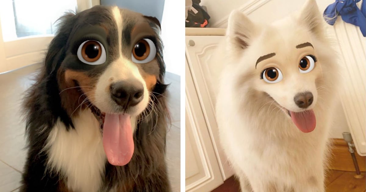 This Disney Filter on Snapchat Turns Your Dog Into a Cartoon Character
