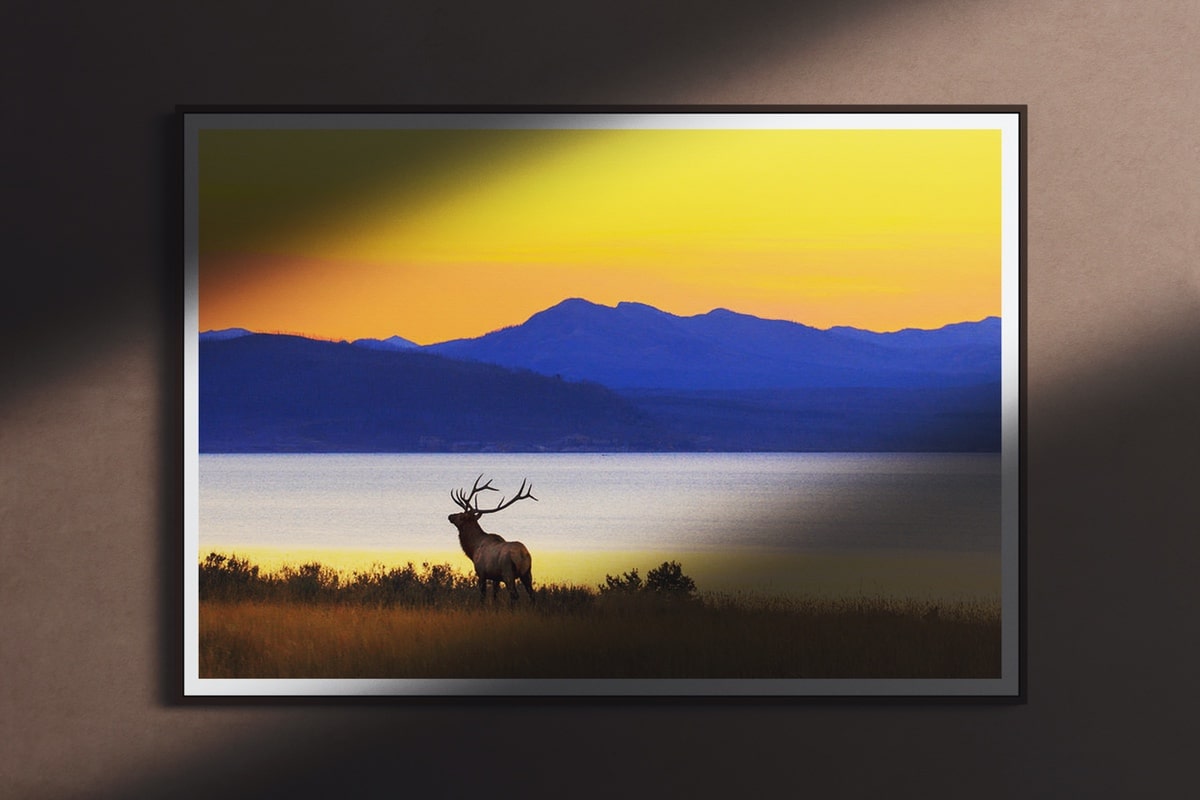 Moose in Evocative Sunset Landscape