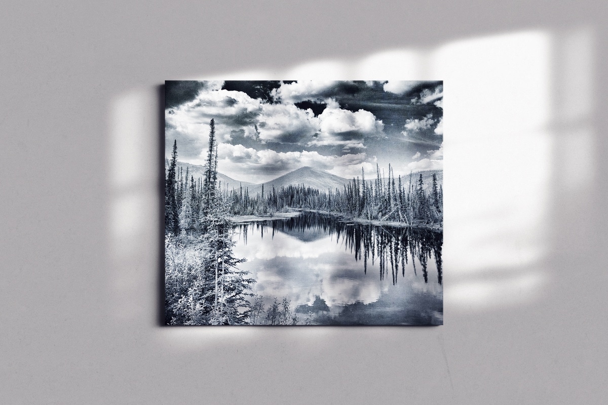 Landscape Black and White Wall Art from Fine Art America