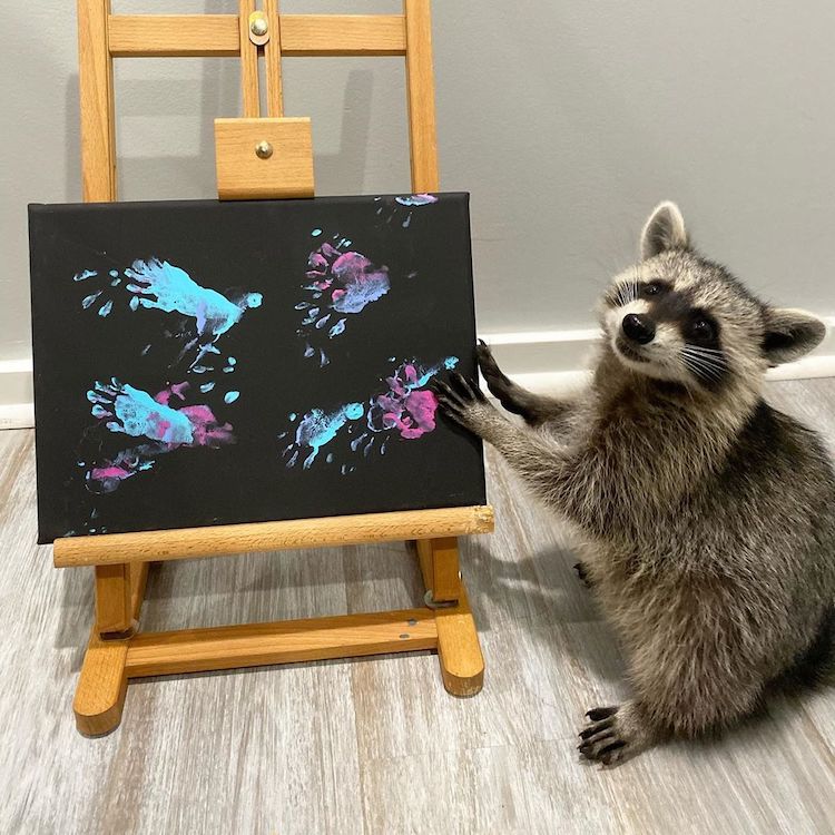 Raccoon Mixed Media Art