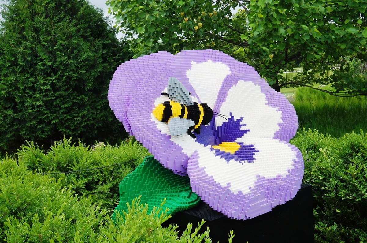 Pansy And Bee Sean Kenney
