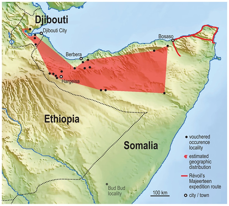 Potential Range Of Somali Sengi